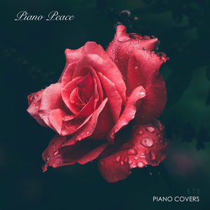 毛片免费观看视频黄色毛片
